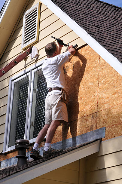 Trusted Meadow Vista, CA Siding Experts